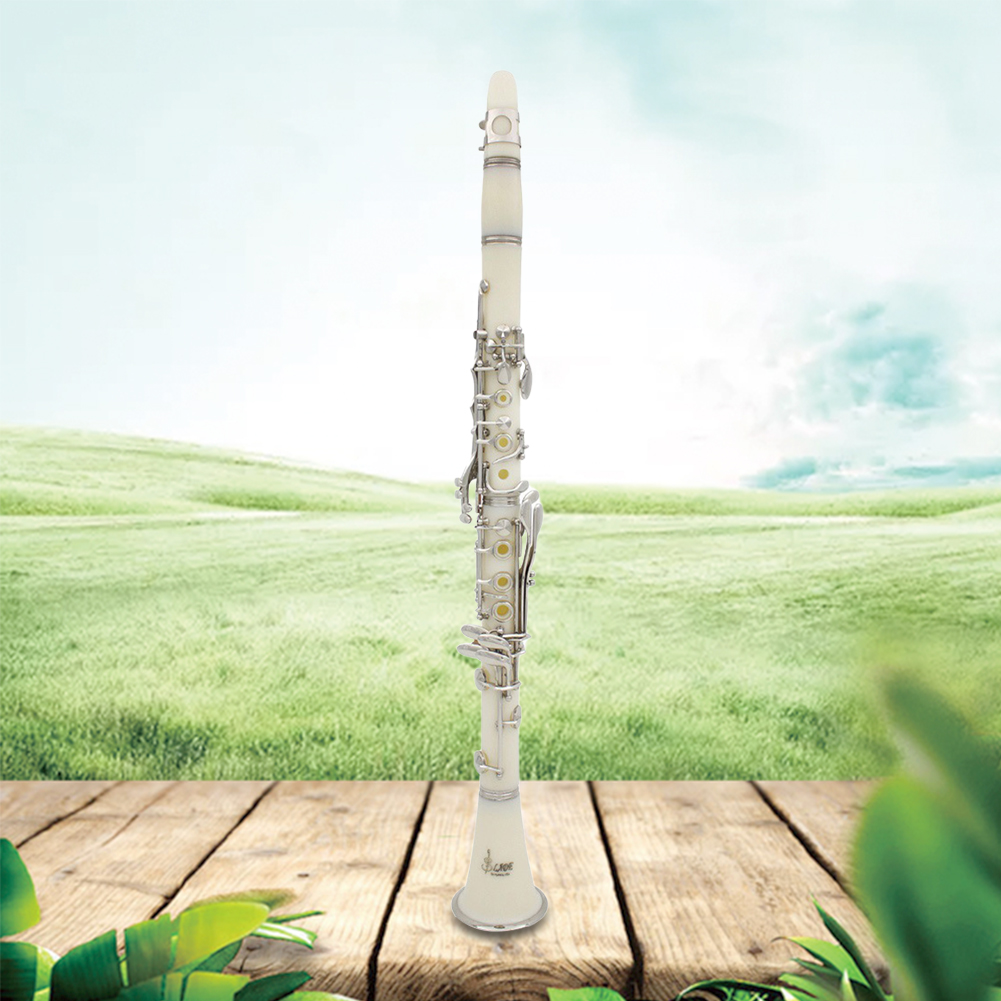 Musical Instrument Reed - كلارينيت بي بي 17 مفتاحًا مع