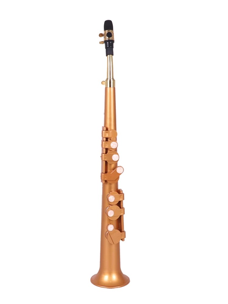 Musical Instrument Reed - ساكسفون جيب Littlesax ، آلة موسيقية