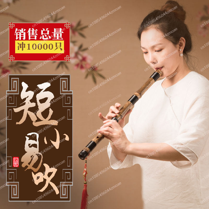 فلوت خيزران احترافي قصير بفتحة - مراجعة Musical Instrument You Blow Into وسعره