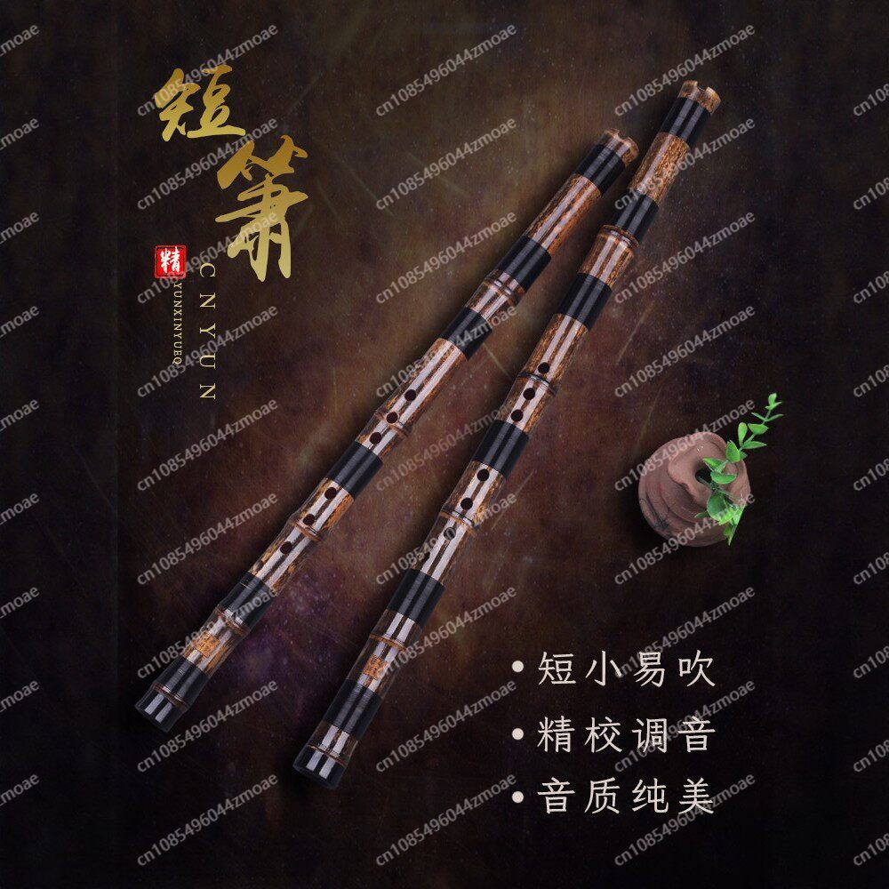 فلوت خيزران احترافي قصير بفتحة - مراجعة Musical Instrument You Blow Into وسعره
