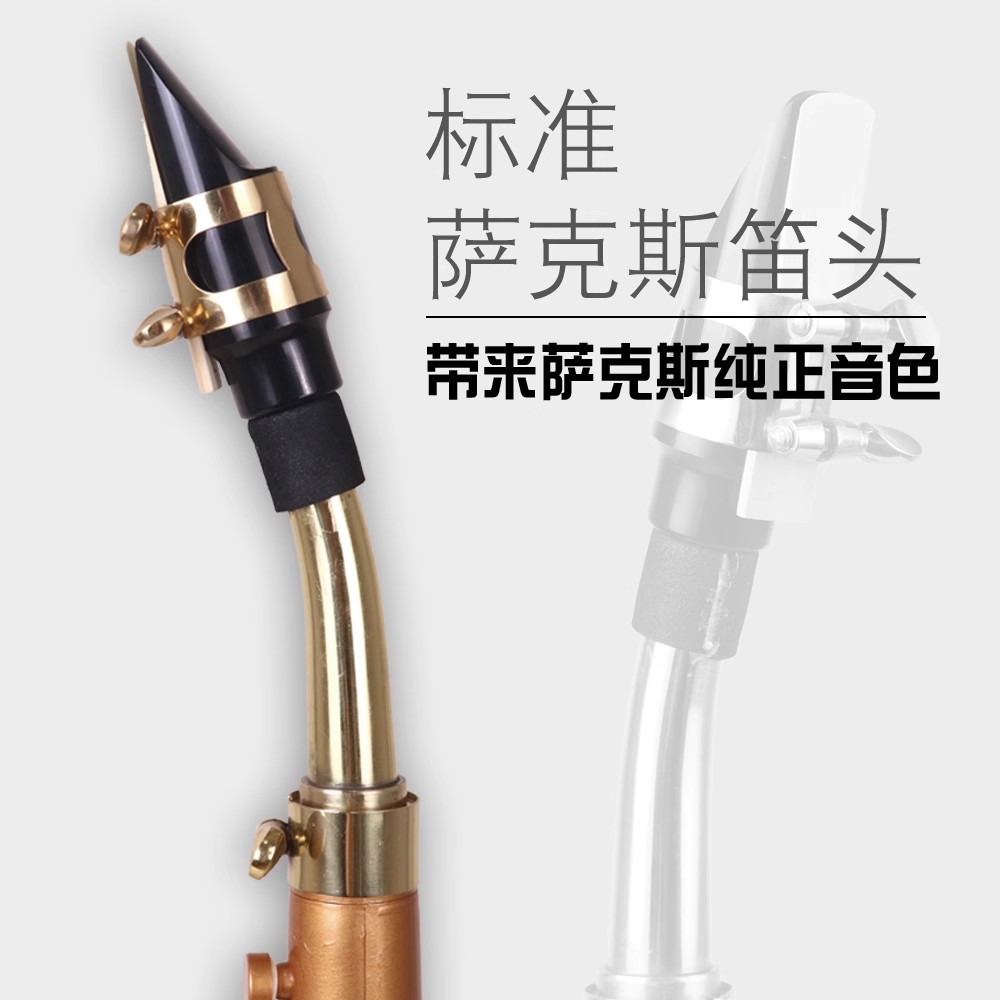 ساكسفون جيب Littlesax ، آلة مو - مراجعة Musical Instrument Reed وسعره