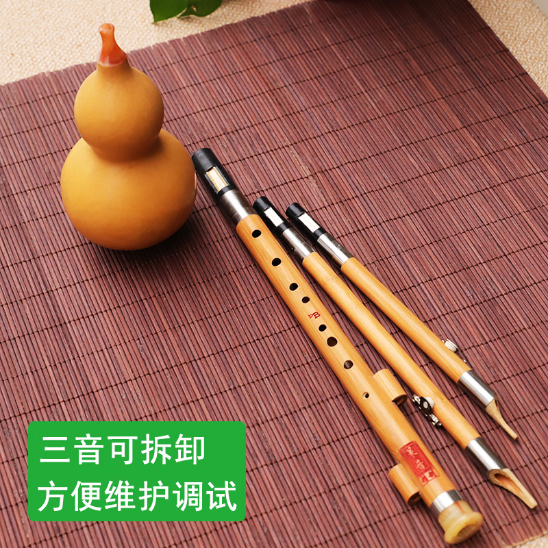 آلة موسيقية من الحرير على شكل  - مراجعة Musical Instrument You Blow Into وسعره