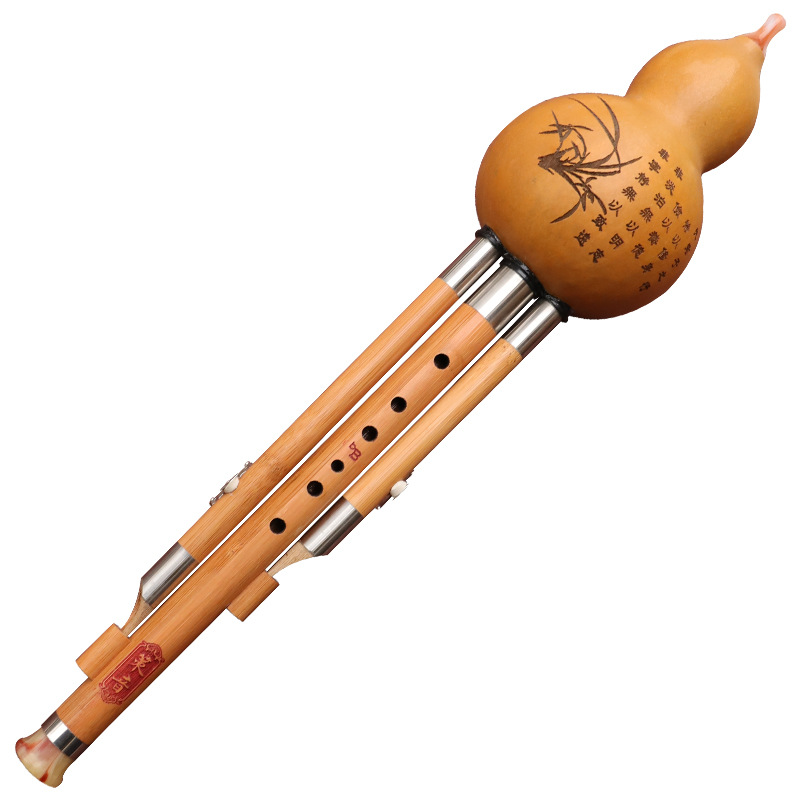 آلة موسيقية من الحرير على شكل  - مراجعة Musical Instrument You Blow Into وسعره